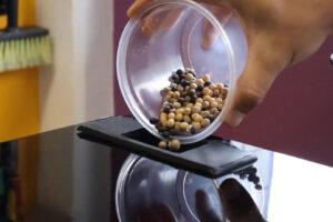 Do Hackaton para o mundo: Startup classifica grãos com IA