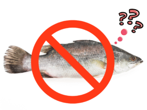 Lupion: “Colocar tilápia como espécie invasora é ‘piada de mau-gosto’”