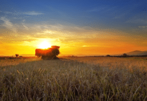 Abertura de novos mercados pode acrescentar R$ 200 bi às exportações do agro