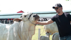 Ensino, pesquisa e negócios: 5º City Farm FAG une ciência, tradição e inovação na agropecuária
