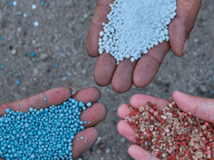 Consumo recorde e alta do enxofre marcam o mercado de fertilizantes