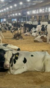 44ª Expovel sedia encontro de produtores de leite