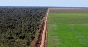 Região produtora de soja mantém expansão sem desmatar