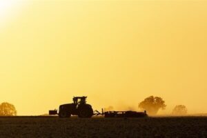 Conab alerta para aumento de golpes neste fim de ano