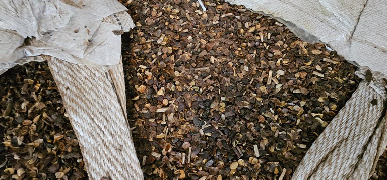 Mapa apreende 21 toneladas de café irregular em compra pública de Curitiba