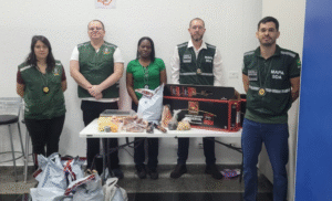 Presunto “pata negra” barrado no Porto revela alerta para peste suína africana