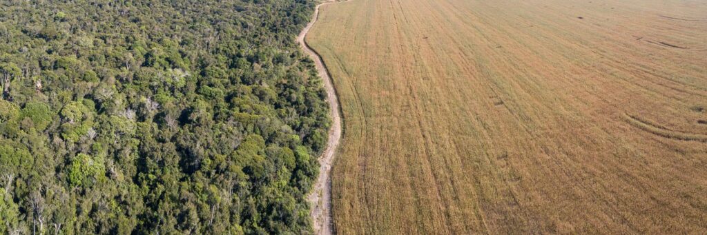 Veto da lei da regularização em faixa de fronteira acirra embate com o agro