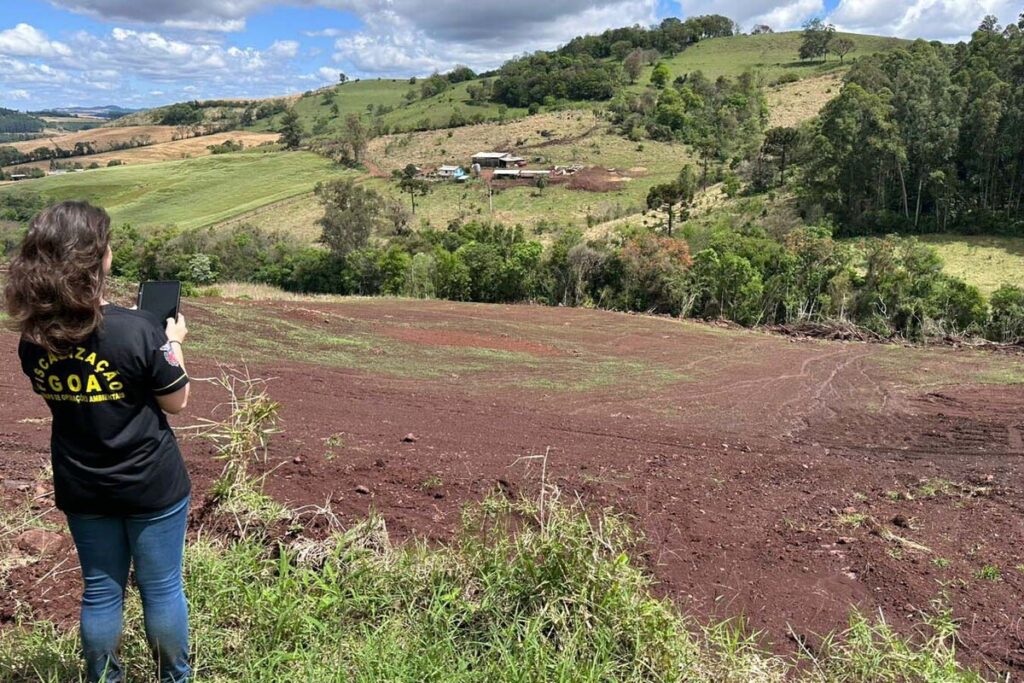 Aumento da fiscalização resultou em 8,1 mil multas por crimes ambientais em 2025