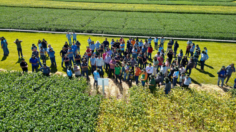 Ganho de produtividade pela pesquisa  é destaque do Dia de Campo Copacol