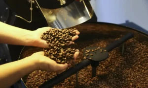 Exportação de café cai em 2025, mas bate recorde em receita