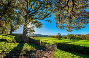 Regularização ambiental começa a redefinir o valor das propriedades