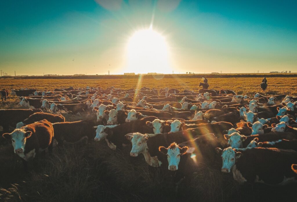 Associação defende criação de banco genético como medida preventiva