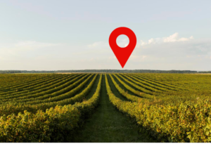 “CEP Rural” e rotas oficiais de acesso são avanços do agro paranaense