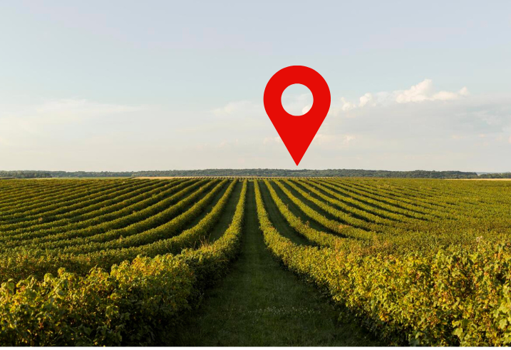 “CEP Rural” e rotas oficiais de acesso são avanços do agro paranaense