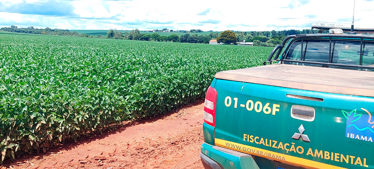 Operação combate uso irregular de agrotóxicos altamente tóxicos às abelhas