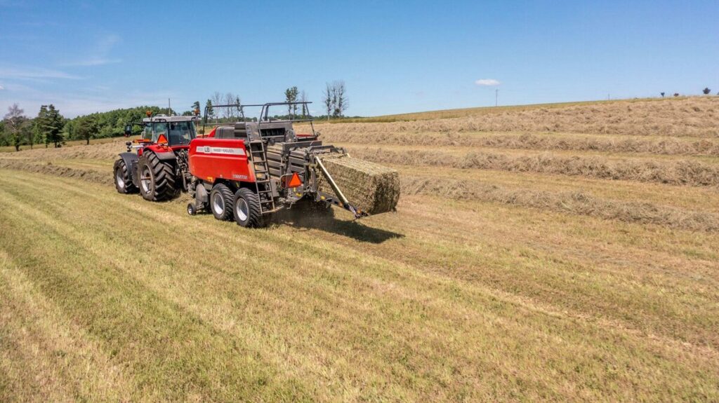 Qualidade da forragem é decisiva para a produtividade do rebanho