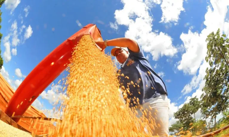 Soja puxa safra histórica no Brasil
