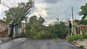 Alerta sonoro da Defesa Civil surpreende moradores do Paraná
