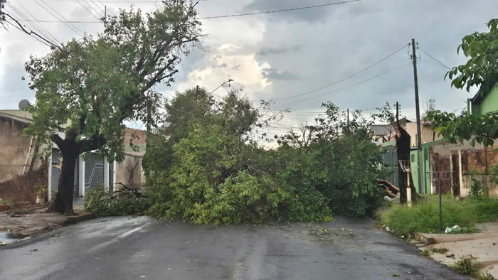 Alerta sonoro da Defesa Civil surpreende moradores do Paraná