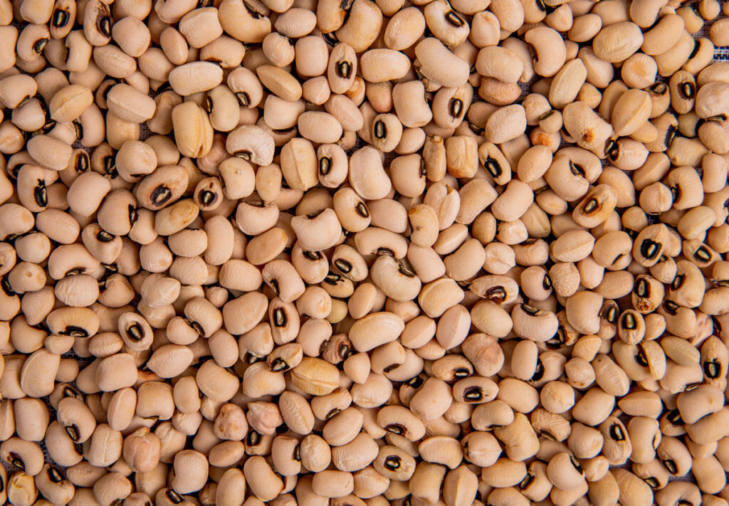 Preços disparam e registram forte valorização do feijão na última semana de janeiro