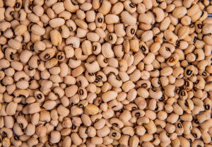 Preços disparam e registram forte valorização do feijão na última semana de janeiro