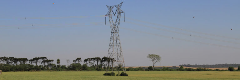 Copel recua e suspende notificações no campo