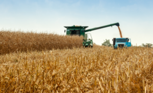 Cédulas de Produto Rural totalizam R$ 561 bilhões em fevereiro