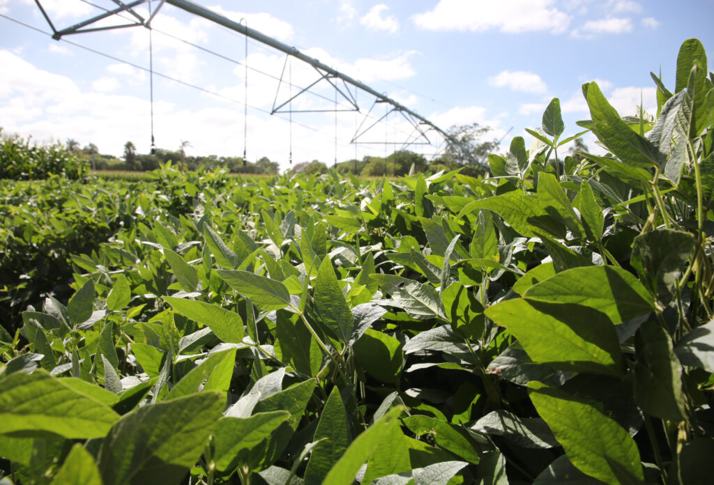 Receita aperta cerco e alerta produtor para o IR 2