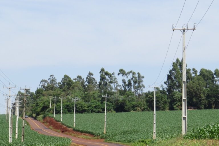 Copel investe R$ 2,8 milhões no reforço da rede elétrica para atender a produtores rurais