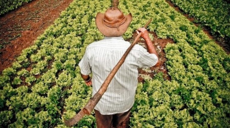 Agro entra no centro da reforma trabalhista rural