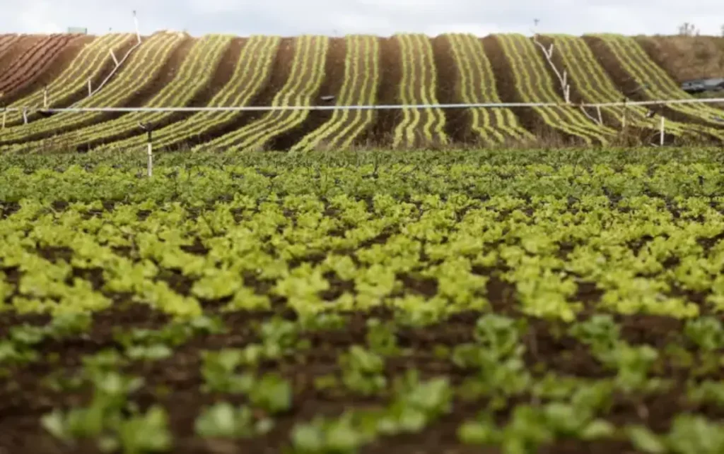 IAT terá que cobrar tarifa de todos os produtores rurais que utilizam água de rios