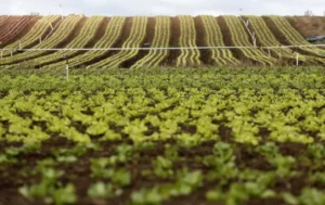 IAT terá que cobrar tarifa de todos os produtores rurais que utilizam água de rios