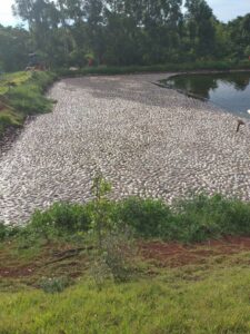 Comissão aprova ressarcimento a produtor por falta de luz