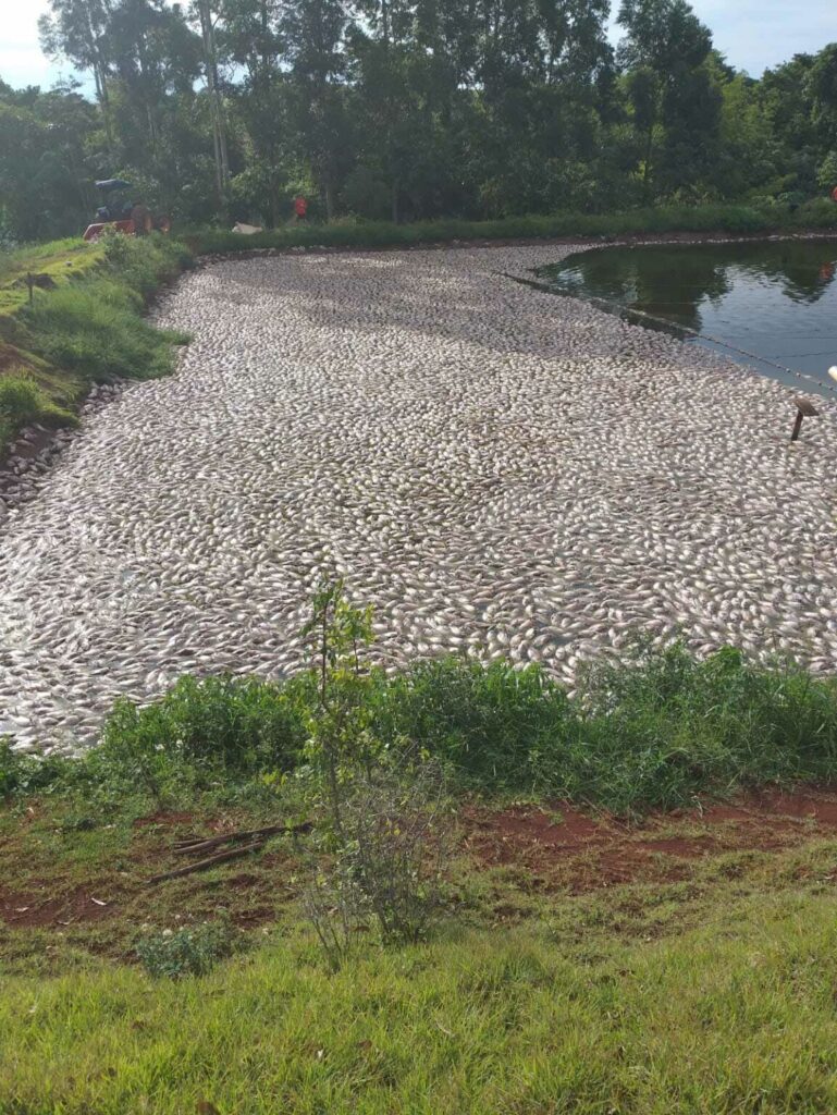 Comissão aprova ressarcimento a produtor por falta de luz