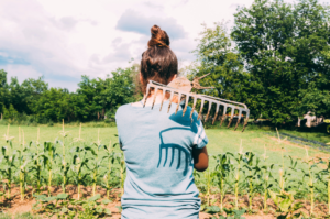 Insegurança jurídica no agro: Alta nas recuperações judiciais e disputas fundiárias preocupa