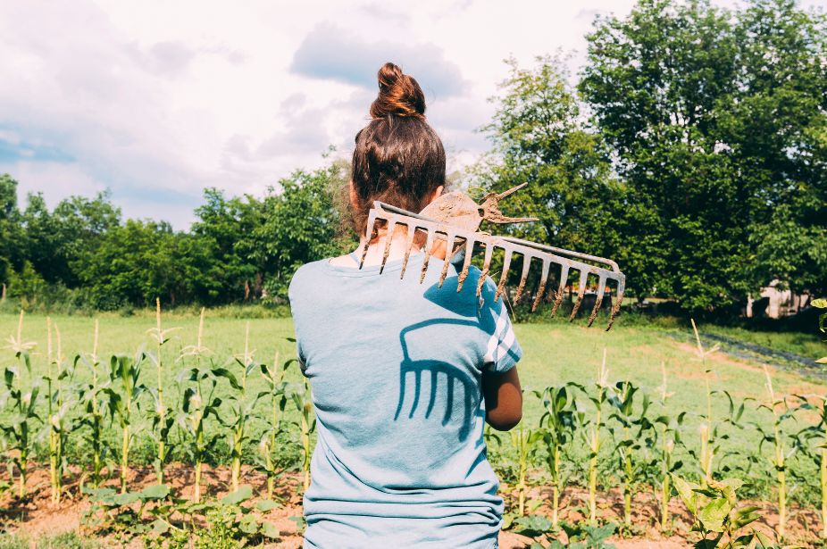 Insegurança jurídica no agro: Alta nas recuperações judiciais e disputas fundiárias preocupa