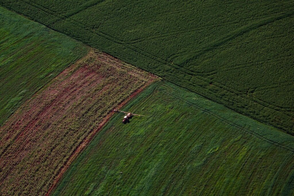 Supermercado do mundo: Paraná expande produção agropecuária entre 2018 e 2025