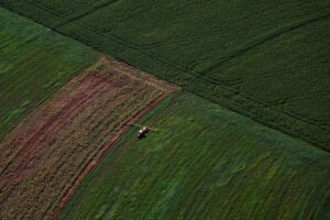 Supermercado do mundo: Paraná expande produção agropecuária entre 2018 e 2025