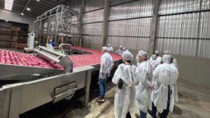 Estado tem abertura de mercado cubano para a maçã