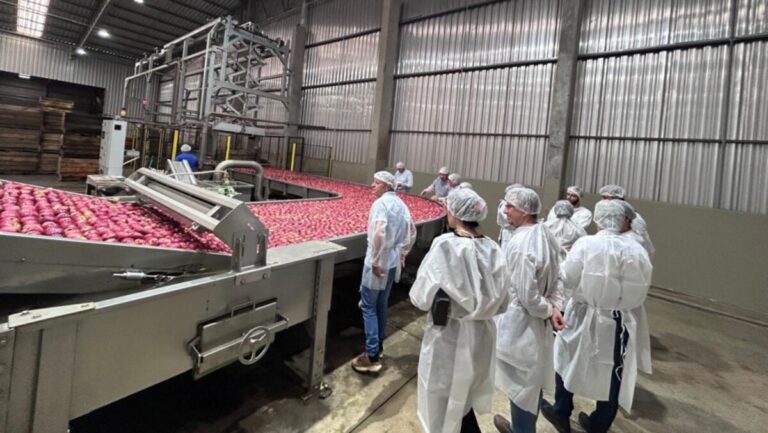 Estado tem abertura de mercado cubano para a maçã