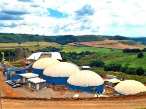 Usina transforma dejetos suínos em combustível