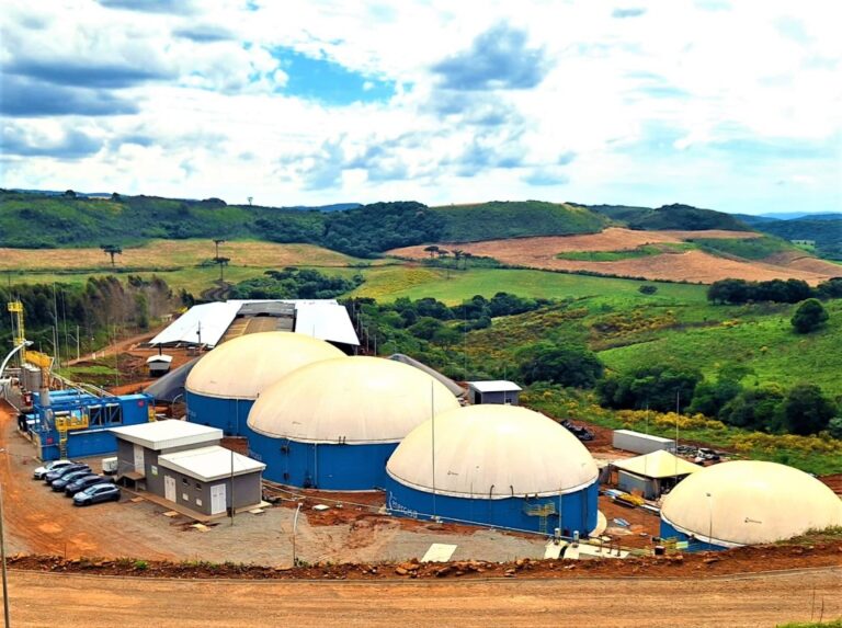 Usina transforma dejetos suínos em combustível