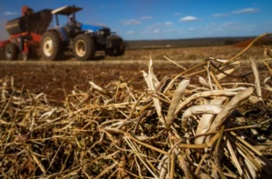 Mercado do feijão perde força no fim de março