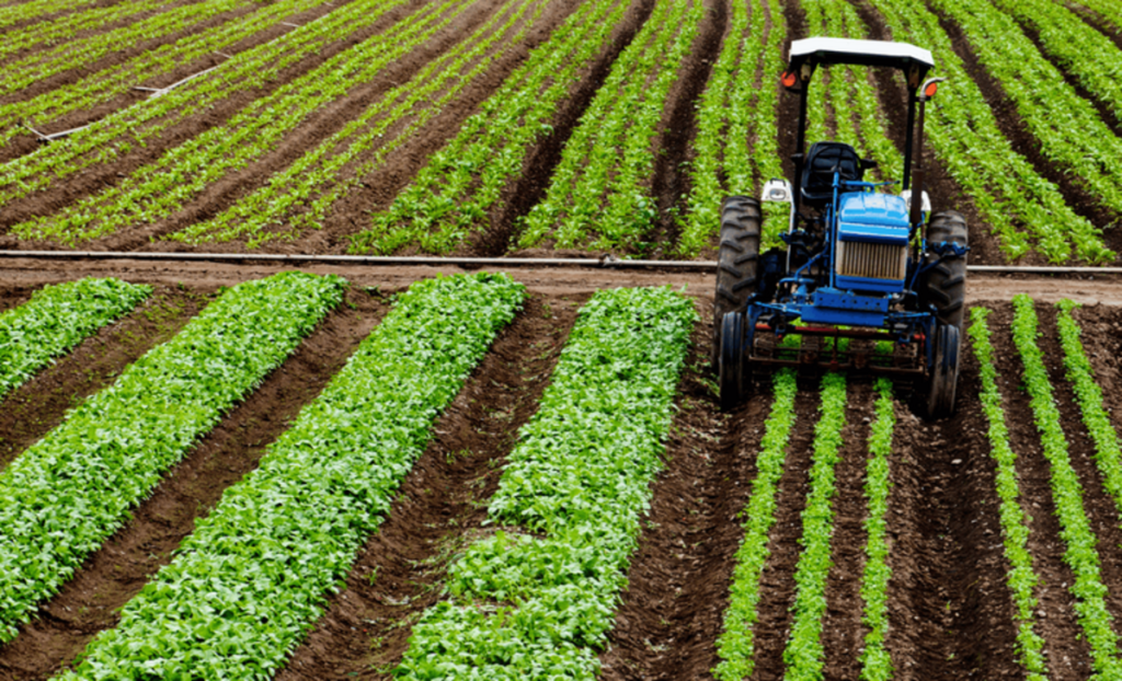 Crédito rural empresarial atinge R$ 404 bilhões no Plano Safra 25/26