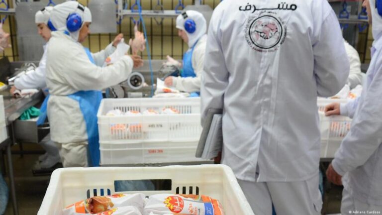 Guerra afeta mercado de alimentos halal para o oriente médio