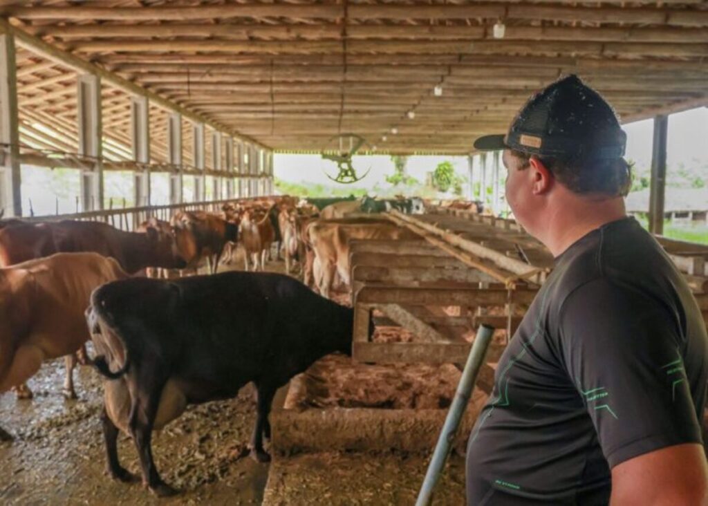 Pronampe Leite BRDE/SC fecha o primeiro mês com R$83,8 milhões em operações