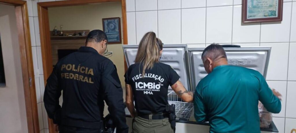 PF deflagra operação operação de repressão a crimes ambientais
