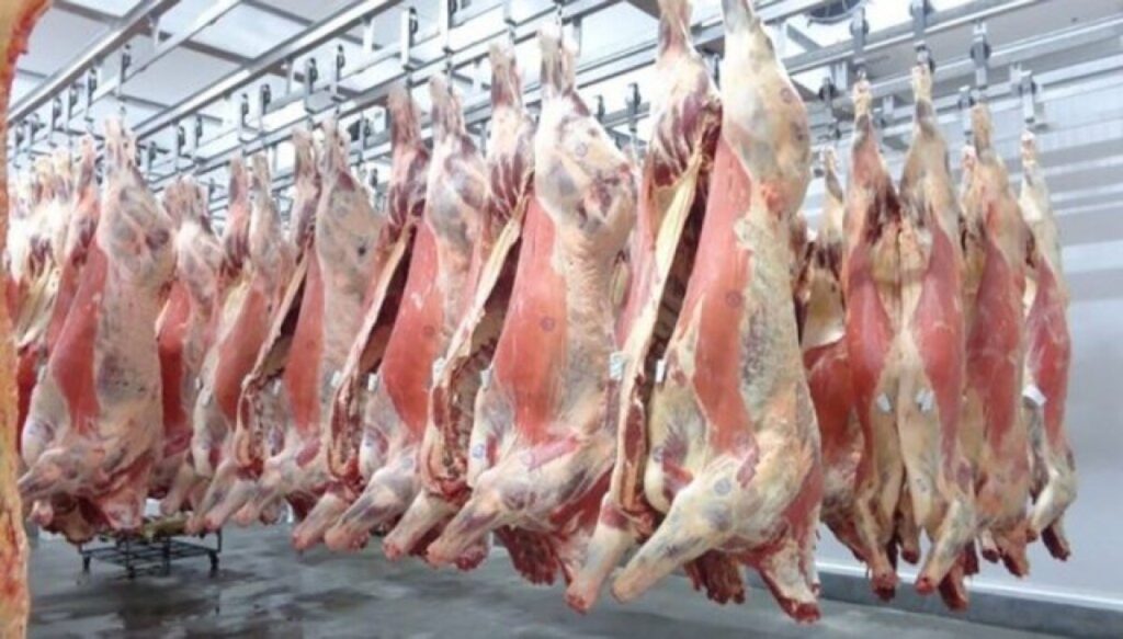 Pecuária acelera, abate sobe 14,3% e supera ritmo do país