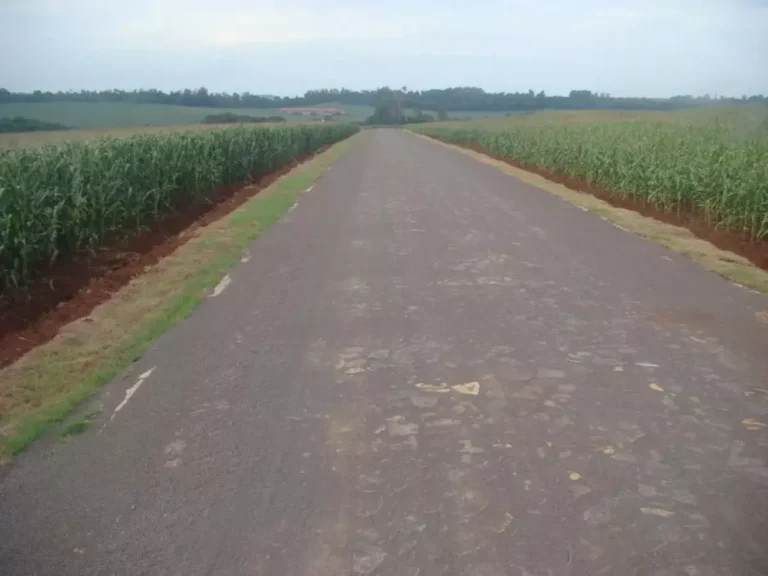 R$ 59 milhões para estradas rurais no Oeste