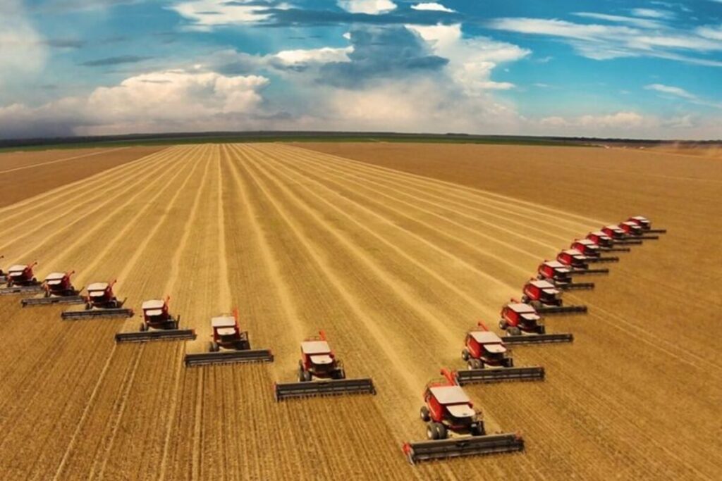 Produto Interno Bruto da agropecuária cresceu 0,7% no primeiro trimestre de 2026